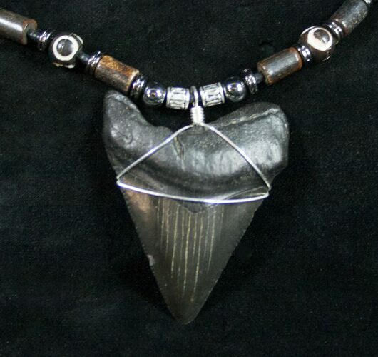 Black Megalodon Tooth Necklace #9805